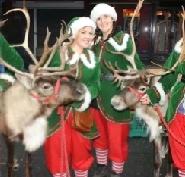Reindeer Hire Display Team