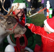 Reindeer hire for school visits in Manchester, Liverpool, Cheshire and North Wales