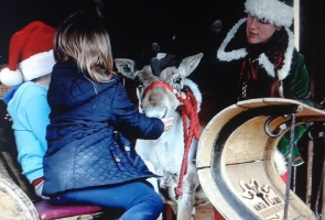 Reindeer Sleigh meeting reindeer and elf