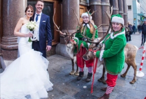 Wedding Reindeer rental visit - Reindeer wedding photography